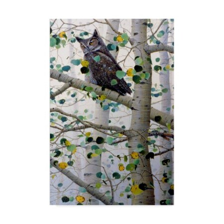 Trademark Fine Art Jeff Tift 'Misty Aspen' Canvas Art, 22x32 ALI30307-C2232GG